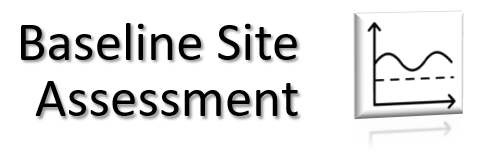 Baseline Site Assessment